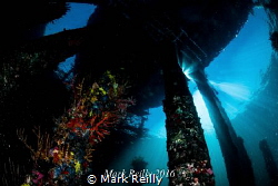 Busselton jetty by Mark Reilly 